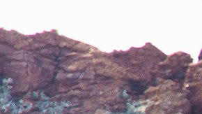 Éste es un trabajo duro, pero que alguien tiene que animarse a hacerlo.