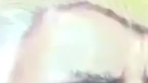 El Trovador de Trump ahora será Trovador de Warren.