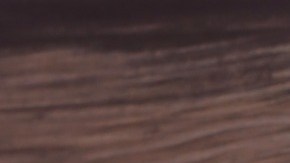 Gemelos de diferente papá