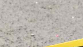 White, en una imagen de archivo.