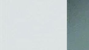 Wilber Ernesto Martínez-Guzmán es de origen salvadoreño.