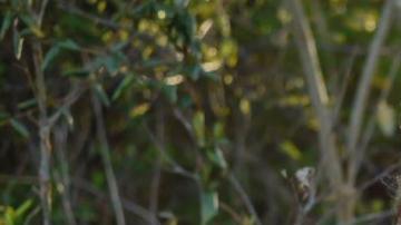 Sesión de fotos para ayudar con el divorcio.