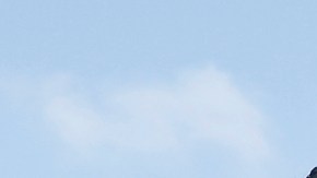 Decenas de familias se reunieron ayer para creac conciencia sobre el autismo. / foto: Aurelia Ventura.