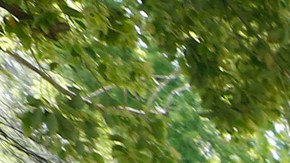 Los indigentes dijeron que no tienen a dónde ir. (Aurelia Ventura/La Opinion)