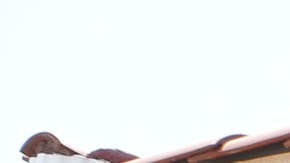 Moisés García (d) junto a su esposa María Cecilia Gutiérrez y su hijo Edgar García. / foto: Aurelia Ventura.