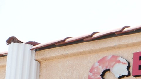 Moisés García (d) junto a su esposa María Cecilia Gutiérrez y su hijo Edgar García. / foto: Aurelia Ventura.