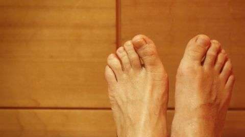 pies