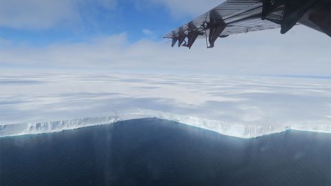 Iceberg