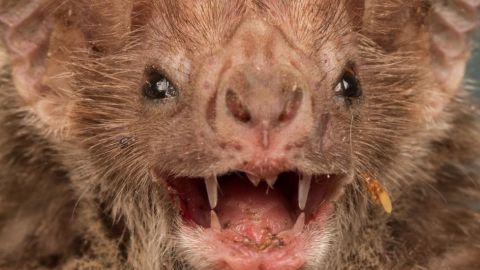 106345849_gettyimages-668339476-2