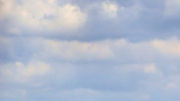 "Vigilando" la ciudad de París, se erige una gárgola en forma de mono alado en las alturas de Notre Dame.