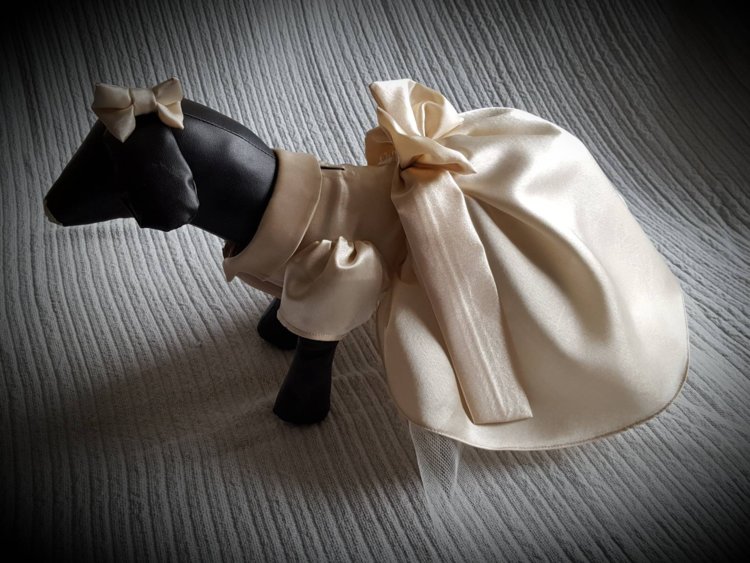 Vestidos de novia para perros, la última tendencia que roza lo ridículo -  La Opinión