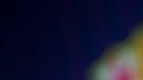 El entrenador del FC Barcelona, Ernesto Valverde.