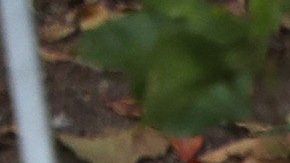 Ciudadanos son reprimidos en una concentración de Guaidó ayer en Caracas