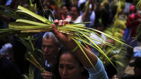 Católicos en Los Ángeles colocarán ramas verdes en la puerta de su casa para celebrar el Domingo de Ramos. (Fotos/EFE)