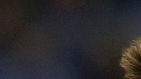 El mexicano Héctor Herrera busca con el FC Porto el campeonato en Portugal.