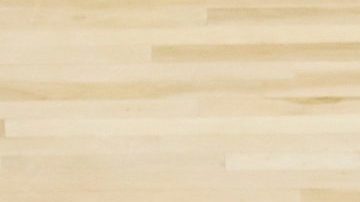 Los Toronto Raptors llegan a las semifinales de la NBA de la mano de Serge Ibaka.