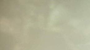 814fD2lDYUL._SL1500_