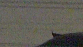 El carro que impactó la camioneta donde viajaba la víctima.