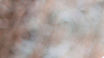 En cualquiera de estos empleos podrías estar rodeados de los seres que más te gustan.