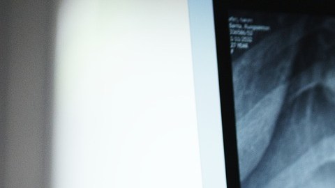 anatomy-3003099_1920