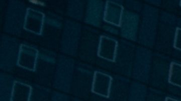 En Nueva York, un seguro de auto es requerido para conducir.