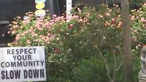 Perros atacan a mujer de 82 años en su propio patio.