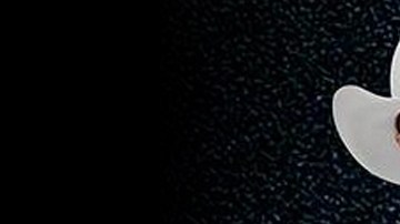 El grupo Bronco en serios problemas