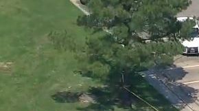 El incidente se registró cerca de la intersección del FM 1960 y TC Jester pasada la 1 p.m. de hoy viernes.