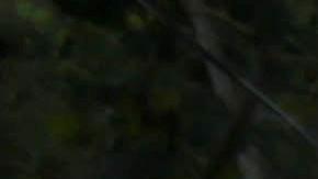 La nueva caravana inició este miércoles su recorrido desde el norte de Honduras.