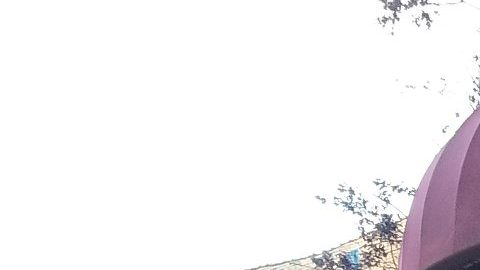 La Catedral Café en La Villita.