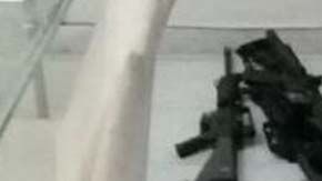 Parte del material incautado en la finca de Adrián Alonso Guerrero Covarrubias, alias “El 8”.