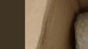 La droga fue decomisada por la Policía Federal.