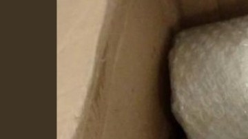 La droga fue decomisada por la Policía Federal.