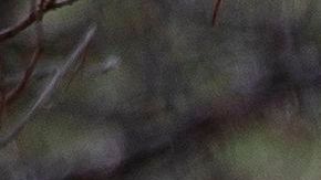 Masacre de Columbine