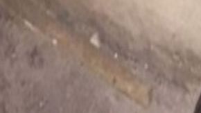 Encuentran cabeza humana en bolsa