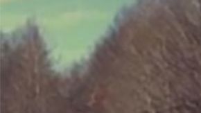 Una de las menores y el sospechoso.