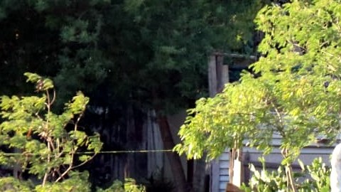 La extremidades sobresalían de la bolsa.