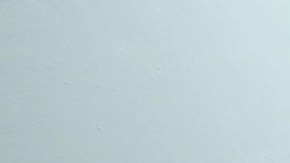 Miguel Herrera, técnico de las Águilas del América