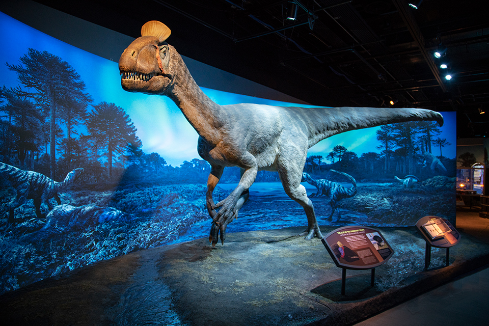 Dinosaurios de la Antártica rugen en Los Angeles - La Opinión