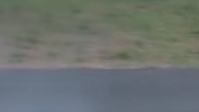 Tus ojos no lo creerán