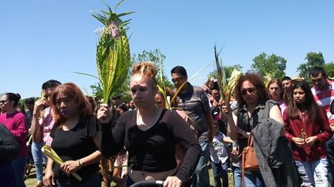 Domingo de Ramos