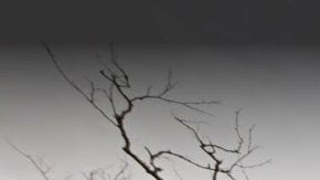 Washington Village en Asbury Park, NJ