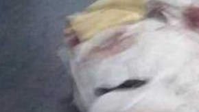 Violencia deja varios muertos en Tijuana