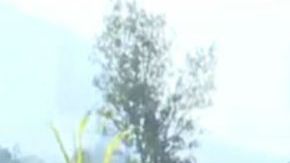 Fosas clandestinas en Xalisco, Nayarit