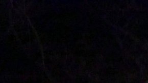 Violencia en Veracruz