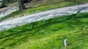 Además de entregar el paquete con rudeza, la chofer decidió dejar 'algo más' en esta calle.