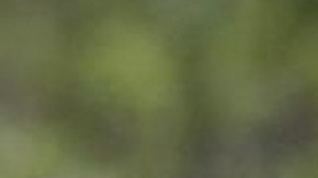 La final de la segunda temporada de "Exatlón" se acerca