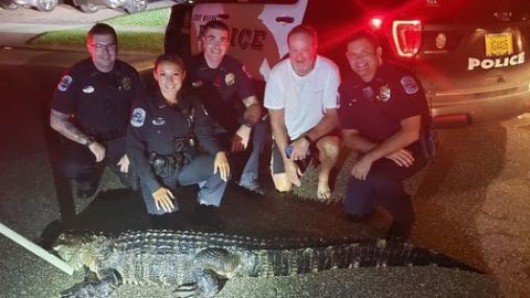 La policía contactó con la comisión competente para que trasladará al animal a otro lugar.