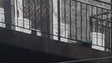 Los robos a garajes fueron reportados en el barrio Cragin.