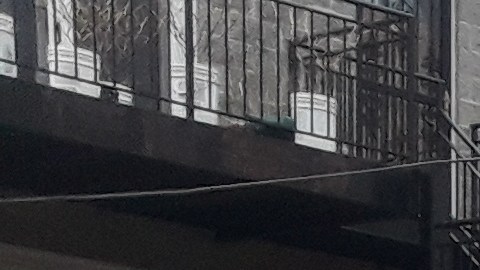 Los robos a garajes fueron reportados en el barrio Cragin.